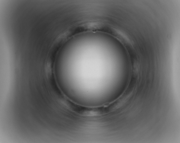 X0000113920506200909241533