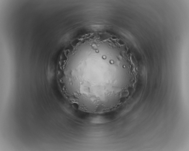 X0000113920507200909241533