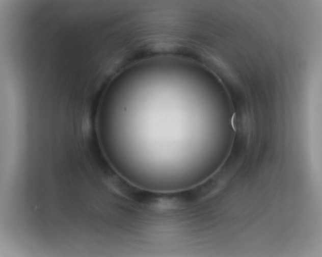 X0000113920508200909241533