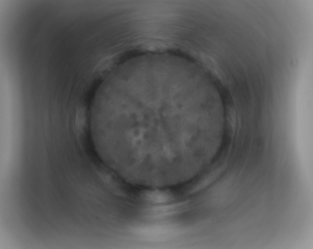 X0000113920511200909241533