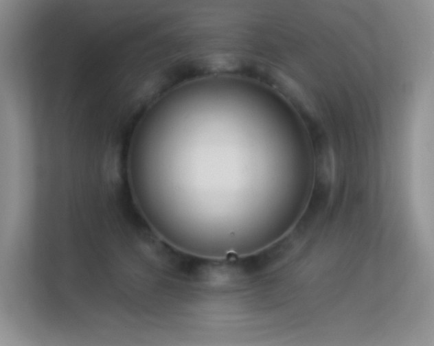 X0000113920512200909241533