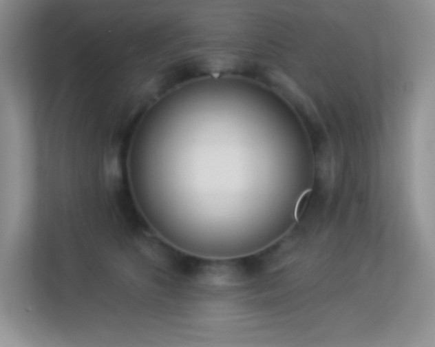 X0000113920516200909241533