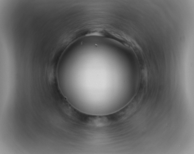 X0000113920517200909241532