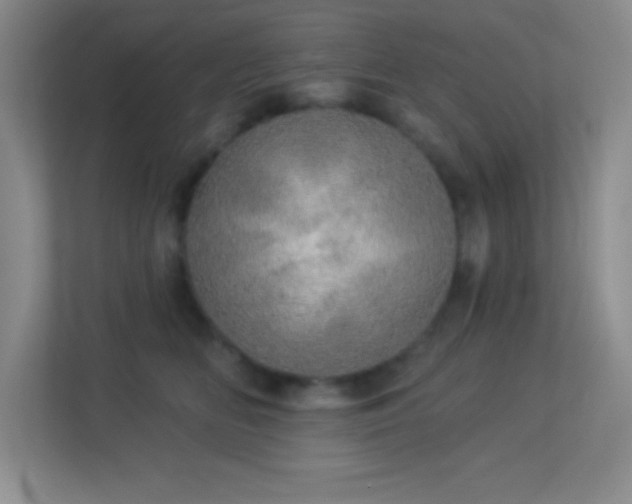 X0000113920518200909241532