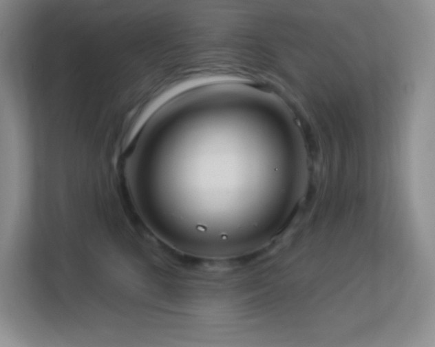 X0000113920520200909241532