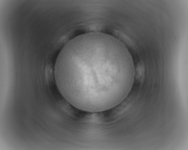 X0000113920522200909241532