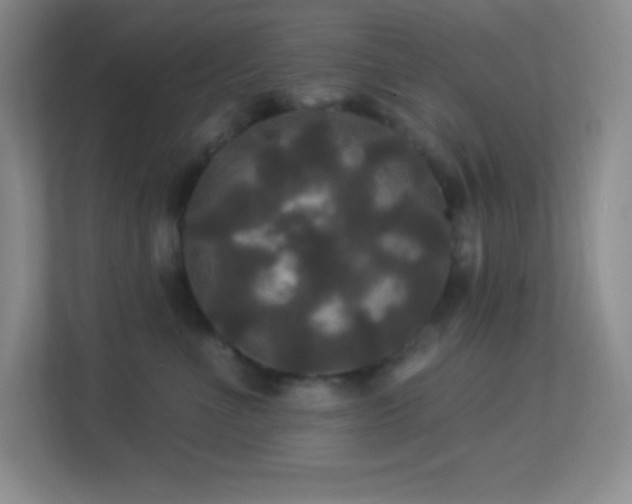 X0000113920523200909241532