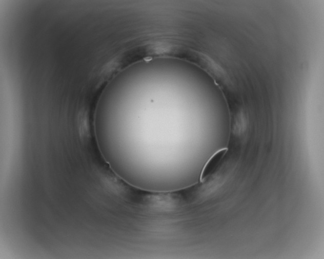 X0000113920524200909241532