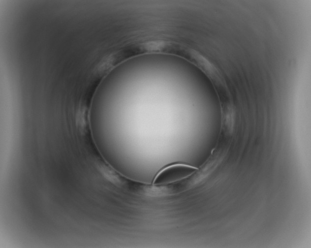 X0000113920525200909241532