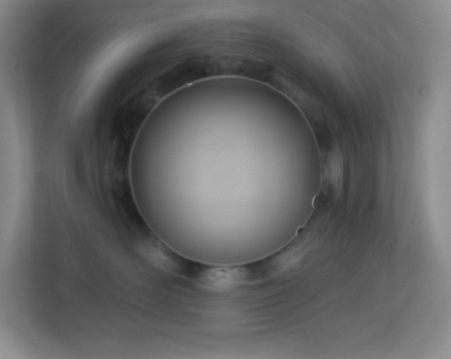 X0000113920526200909241532