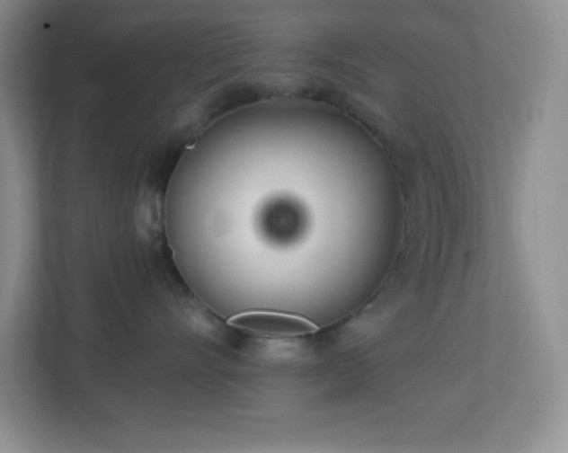 X0000113920528200909241532