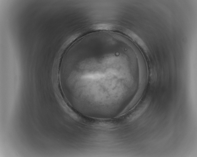 X0000113920529200909241532