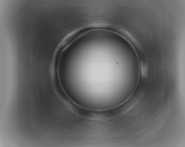 X0000113920531200909241532