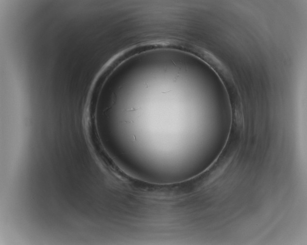 X0000113920532200909241532