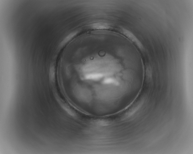 X0000113920533200909241532