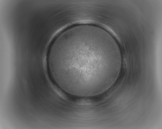 X0000113920535200909241532