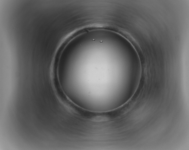 X0000113920536200909241532