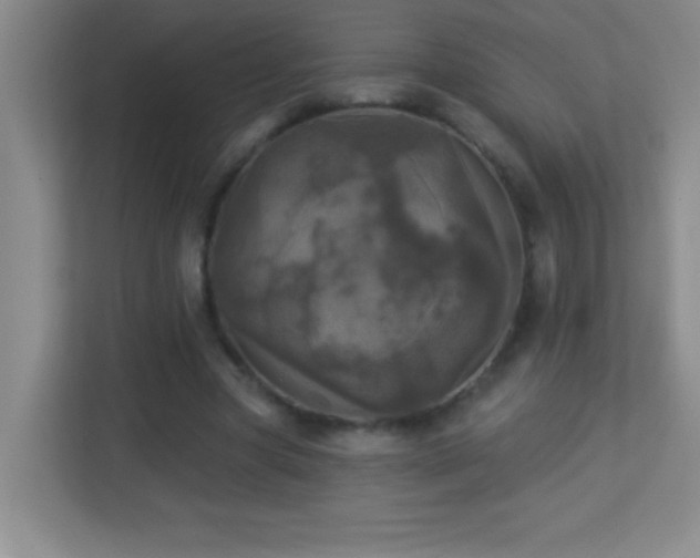 X0000113920537200909241532