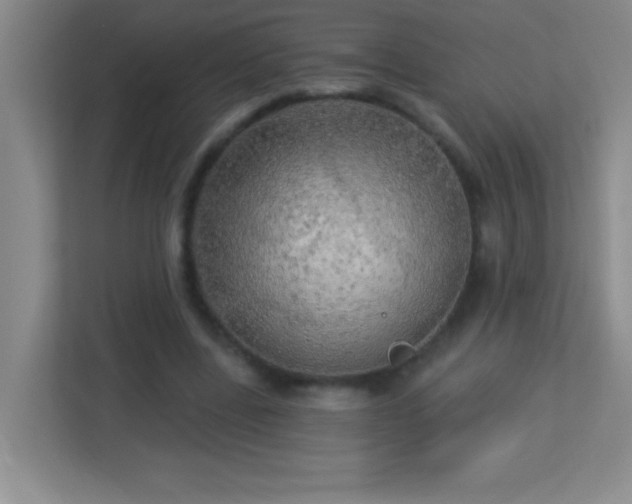 X0000113920539200909241532