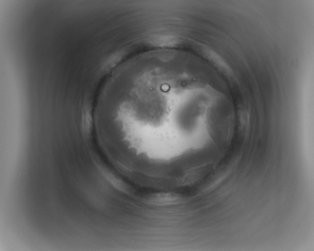 X0000113920541200909241532