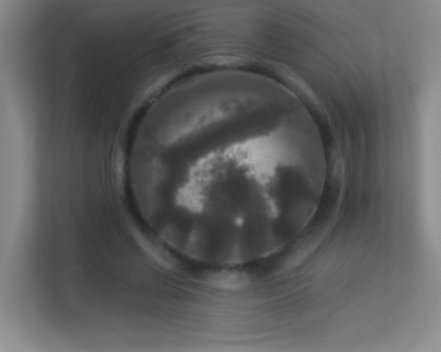 X0000113920542200909241532