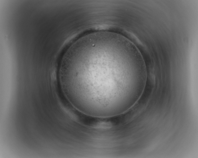 X0000113920543200909241532