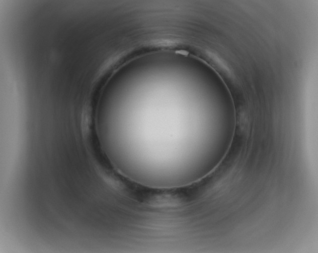 X0000113920544200909241532