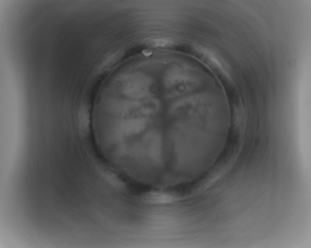 X0000113920545200909241532