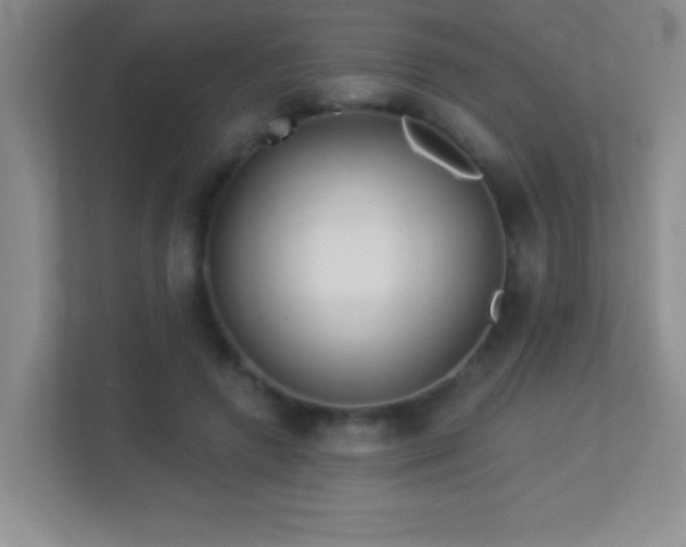 X0000113920546200909241532