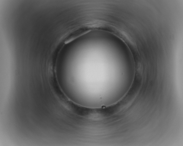 X0000113920547200909241532