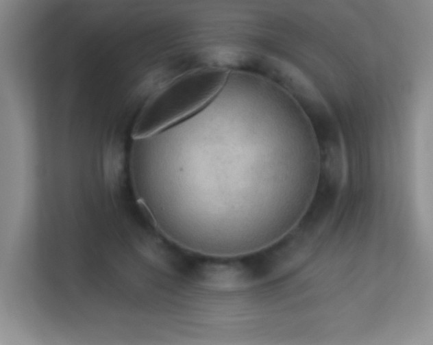 X0000113920548200909241532