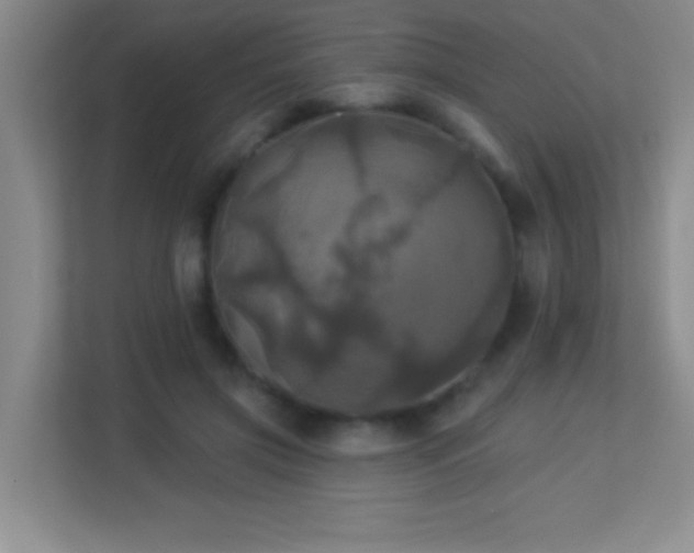 X0000113920549200909241532