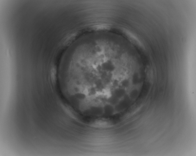 X0000113920550200909241532