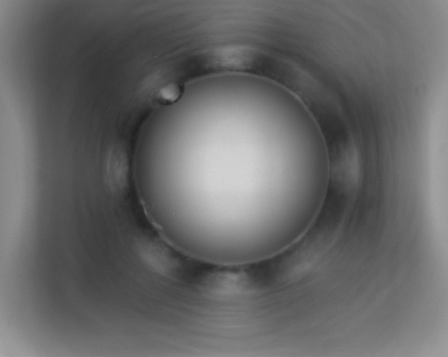 X0000113920552200909241532