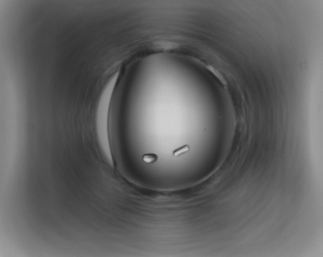 X0000113920556200909241532