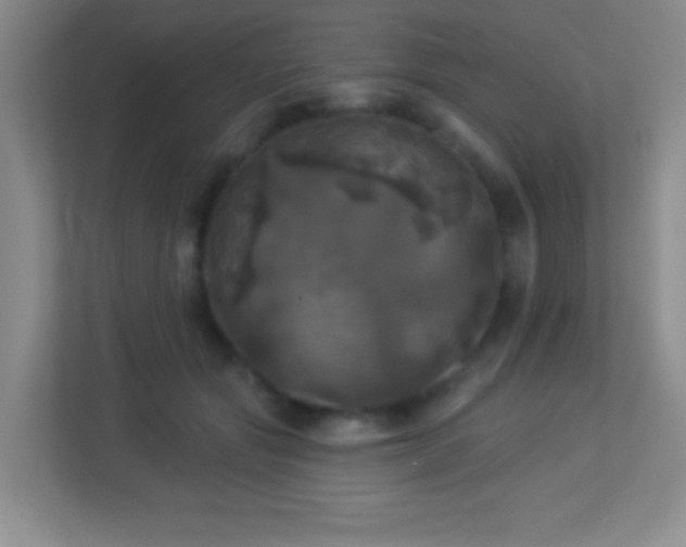 X0000113920557200909241532