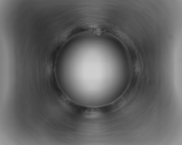 X0000113920559200909241532