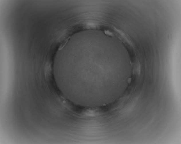 X0000113920560200909241532