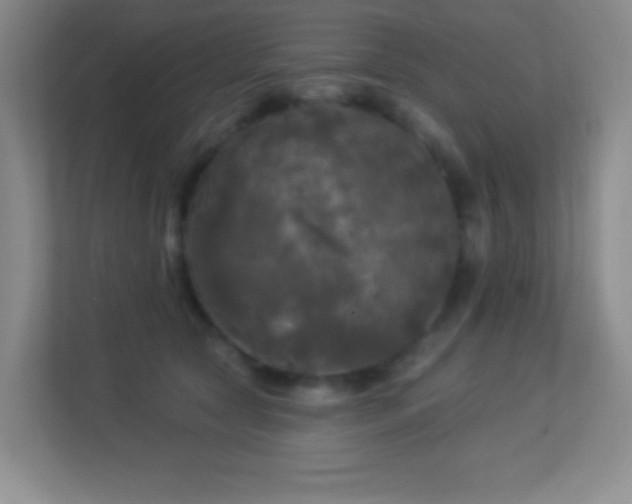 X0000113920561200909241532