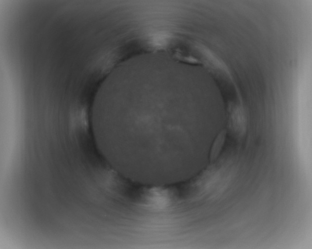 X0000113920562200909241532