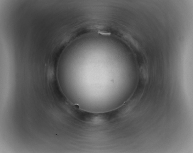 X0000113920564200909241532