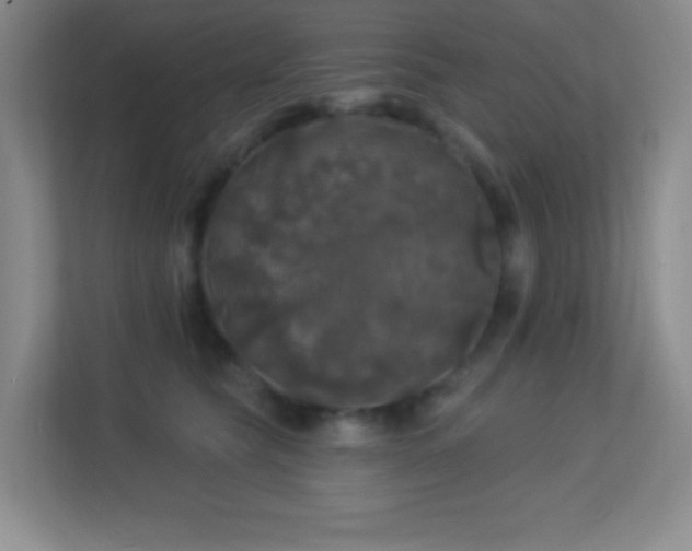 X0000113920565200909241532