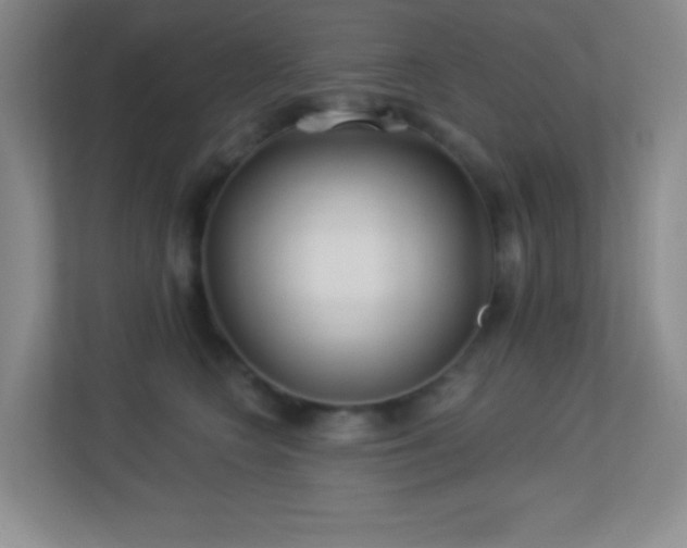 X0000113920566200909241532