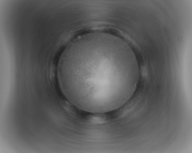 X0000113920567200909241532