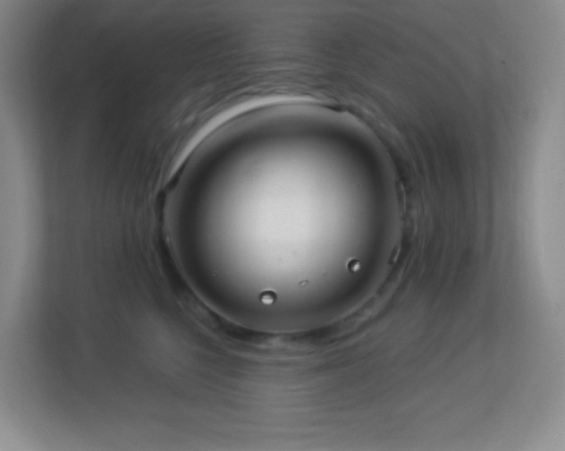 X0000113920568200909241532