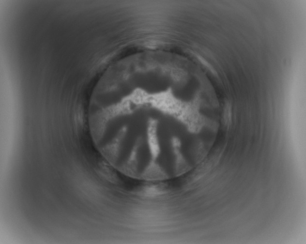 X0000113920569200909241532