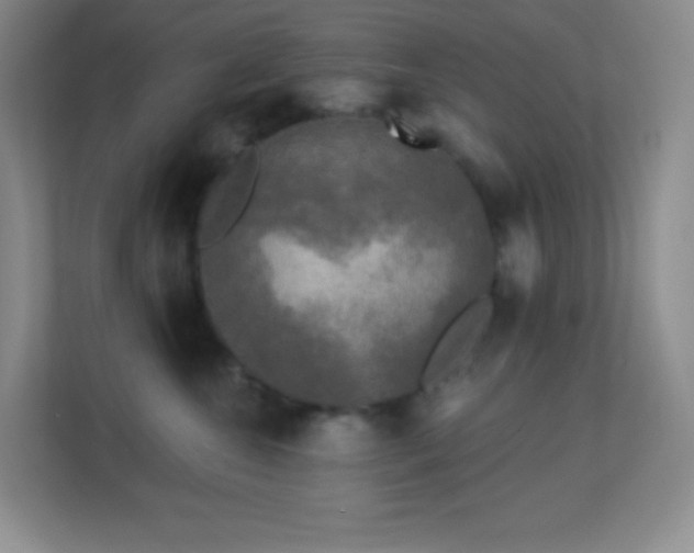 X0000113920572200909241532