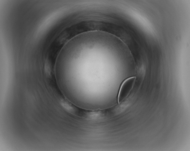 X0000113920574200909241532