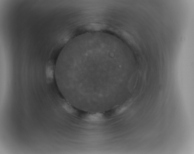 X0000113920576200909241532