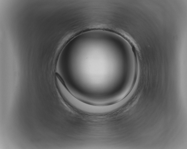 X0000113920577200909241532